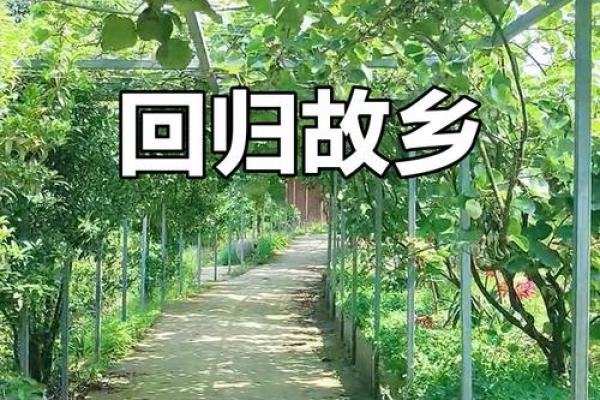 归隐之道：寻找内心宁静的名字背后