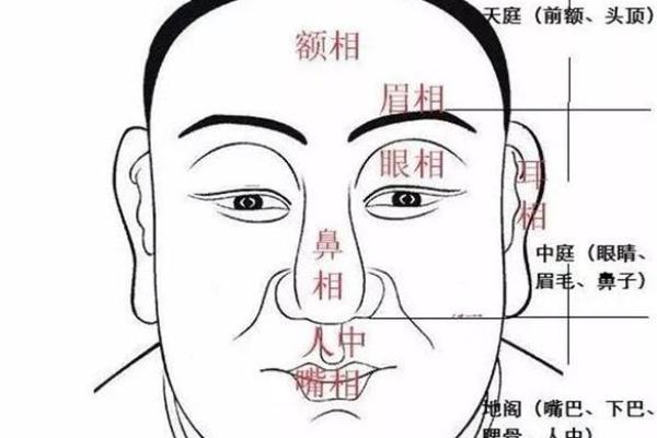 面相准头发亮：揭秘运势旺盛的面相特征
