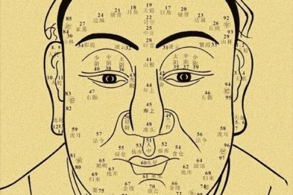 面相解析：表情纹里的命运密码，揭秘你的运势走向！