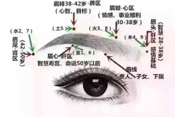 面相解析：表情纹里的命运密码，揭秘你的运势走向！