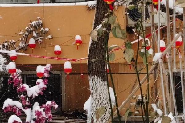 瑞雪兆丰年，民俗庆团圆
