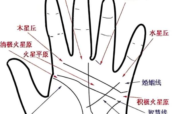 手纹探秘：你的命运线藏着哪些秘密？