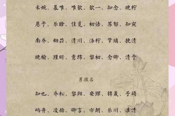 曹婉如：婉约如水，美好寓意的女孩名字