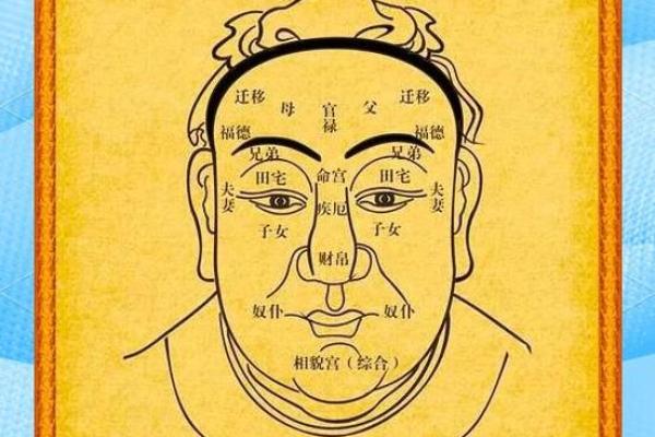 富贵之相：面相中的财气汇聚之地