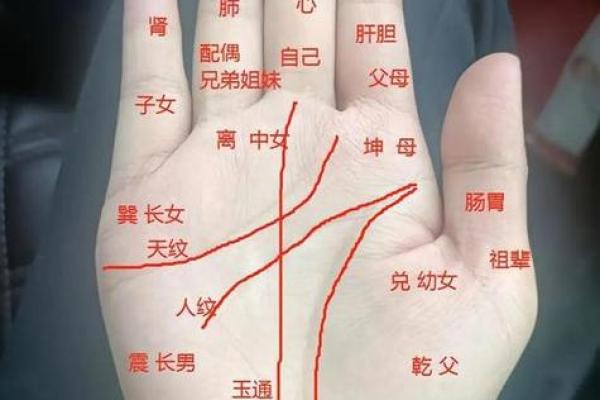 颠覆传统，手相Z字型揭秘！