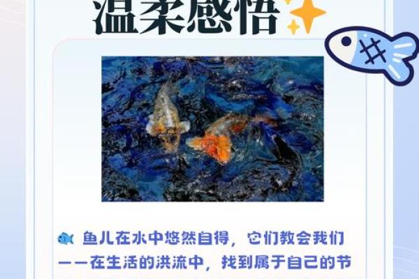 解锁五行智慧：让你的生活如鱼得水