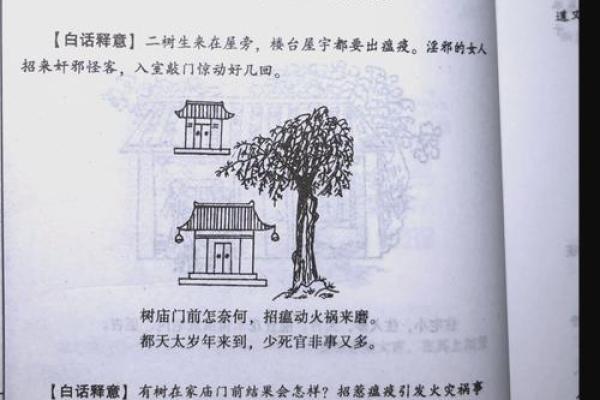 农村树根风水学的秘密：如何为家中带来好运