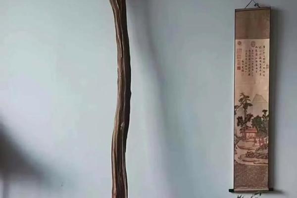 农村树根风水学的秘密：如何为家中带来好运