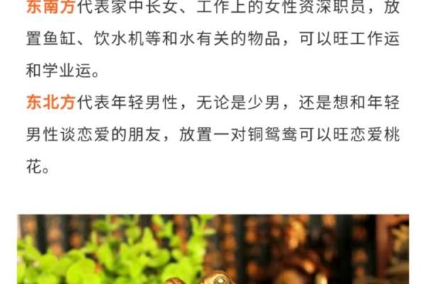 恋爱风水秘法：让你成为情场高手