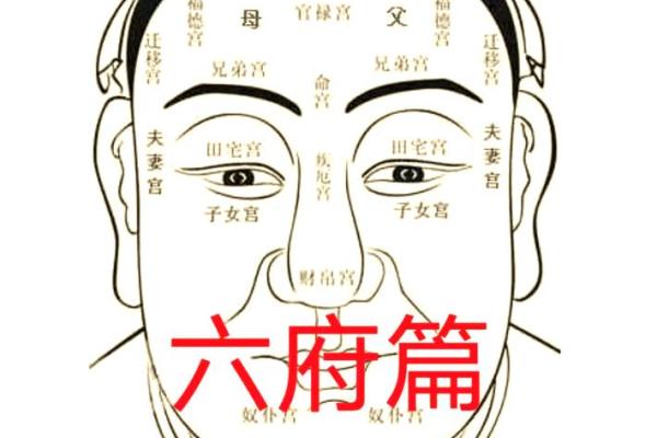 面相格局，揭秘人生运势巅峰！
