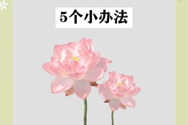 醉风水：揭秘酒水店摆放秘诀，财运亨通，客源滚滚