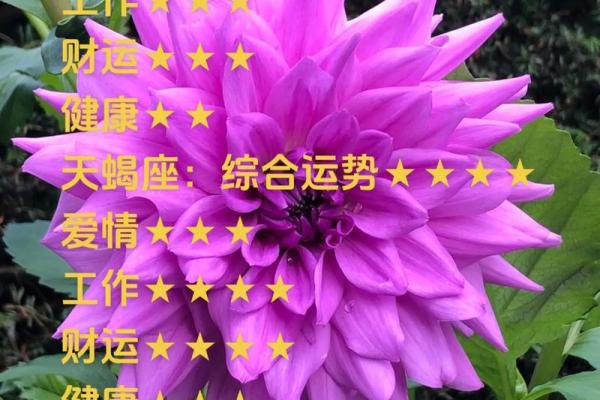 今日天平座运势揭秘：平衡之美，运势翻倍