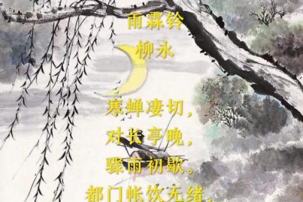 霖名如雨：揭秘名字中的寓意与象征
