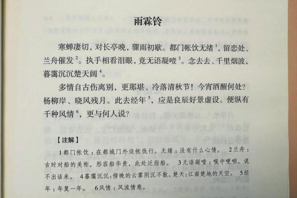 霖名如雨：揭秘名字中的寓意与象征