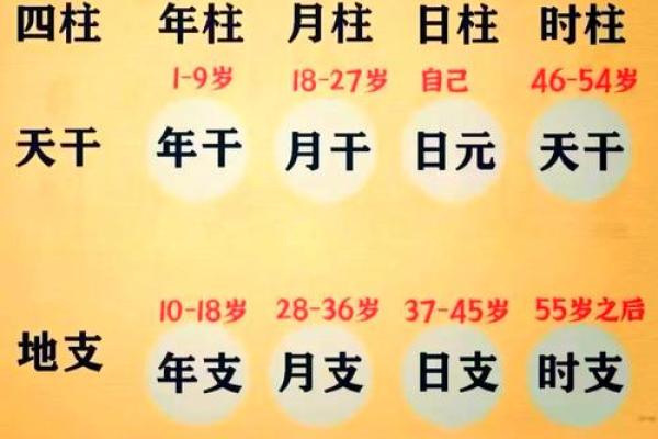 生辰八字算命：揭秘可信度之谜