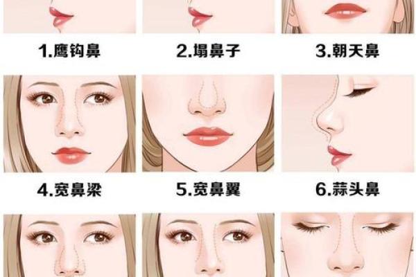 面相迁移宫:揭秘命运转折的神秘面相特征 面相迁移宫:揭秘命运转折的神秘面相特征
