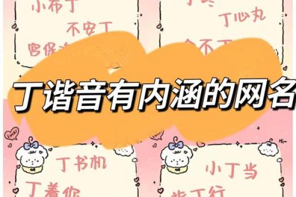 丁氏宝宝取名巧思集 丁氏宝宝取名巧思集