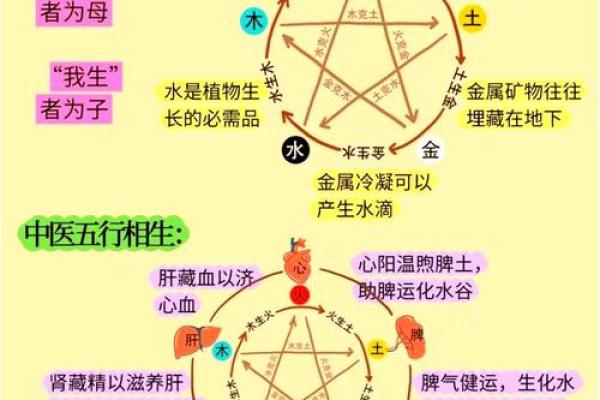 五行学说与靖五行的深度解析 五行学说与靖五行的深度解析