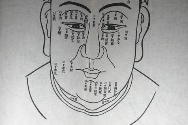 中晚年富贵面相揭秘:面相中的富贵密码 中晚年富贵面相揭秘:面相中的富贵密码