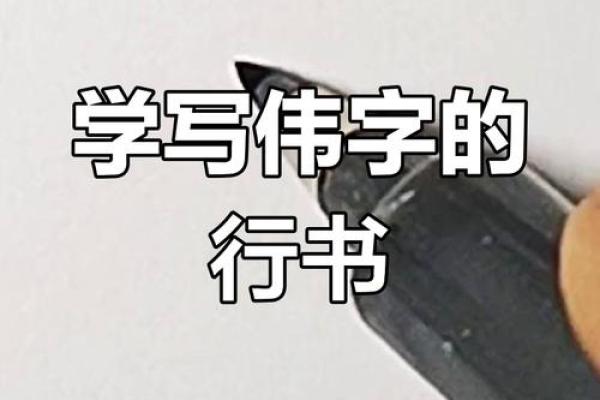 伟字五行分析及影响 伟字五行分析及影响