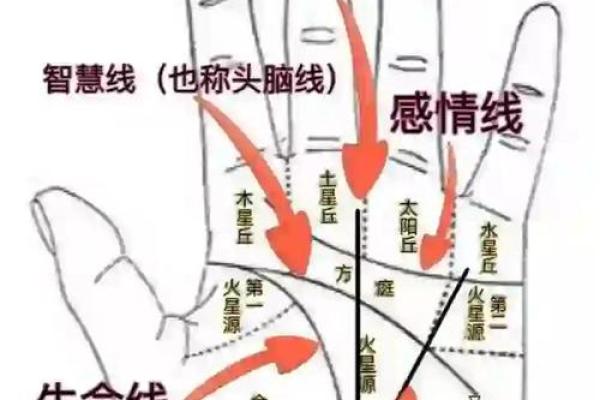 骨节间的智慧:手相解读爆款运势指南 骨节间的智慧:手相解读爆款运势指南