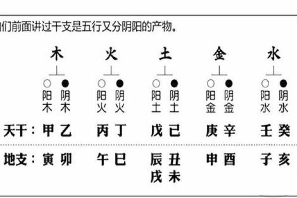 如何通过五行与八字预测未来运势 如何通过五行与八字预测未来运势