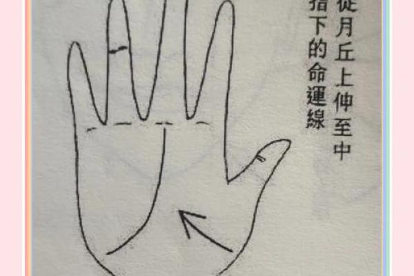手中藏秘密:离宫手相图解人生轨迹的奥秘 手中藏秘密:离宫手相图解人生轨迹的奥秘