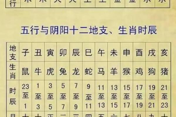 地支头年:生肖运势的起点与变化 地支头年:生肖运势的起点与变化