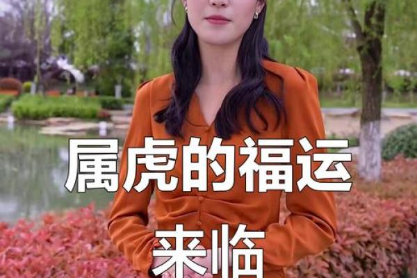 属虎运势如何,如何迎接挑战 属虎运势如何,如何迎接挑战
