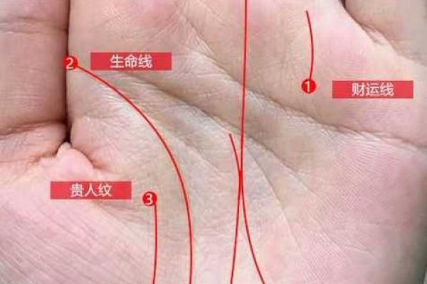 火爆手相解读:上升线带你窥探未来运势 火爆手相解读:上升线带你窥探未来运势