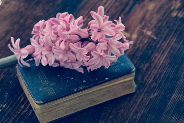 手中握机遇,运势翻倍涨 手中握机遇,运势翻倍涨