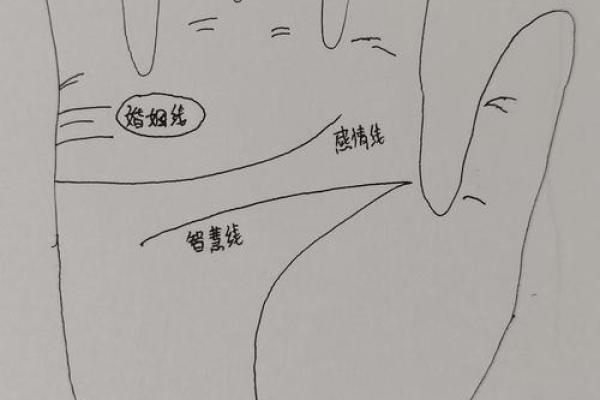 手相揭秘:看女人婚姻,准确到让你惊叹! 手相揭秘:看女人婚姻,准确到让你惊叹!