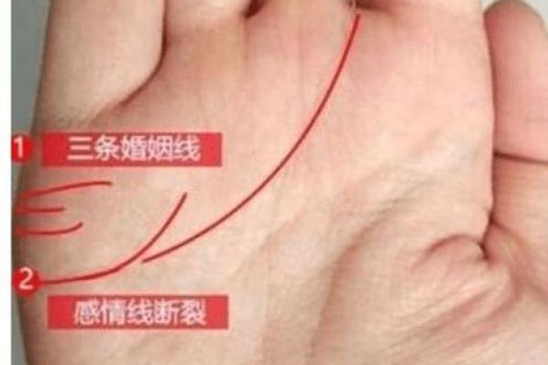 手相揭秘:看女人婚姻,准确到让你惊叹! 手相揭秘:看女人婚姻,准确到让你惊叹!