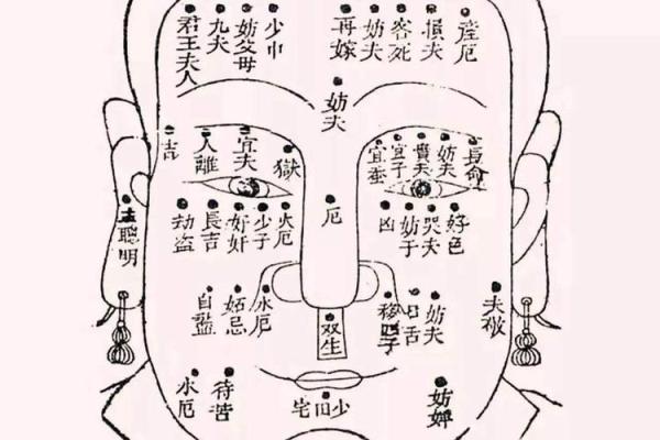 印堂痣相深度解析:痣相影响人生,你了解多少? 印堂痣相深度解析:痣相影响人生,你了解多少?