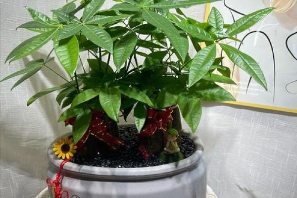 绿植也能招财?揭秘家居风水盆栽招财秘法! 绿植也能招财?揭秘家居风水盆栽招财秘法!