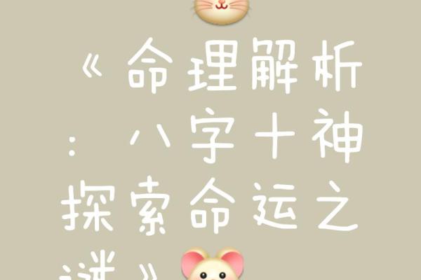 八字天定，运势翻盘：揭秘你的两数命运密码