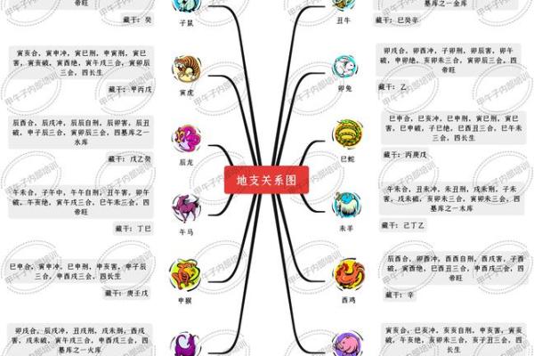 地支相生的秘密揭示与运势关联 地支相生的秘密揭示与运势关联