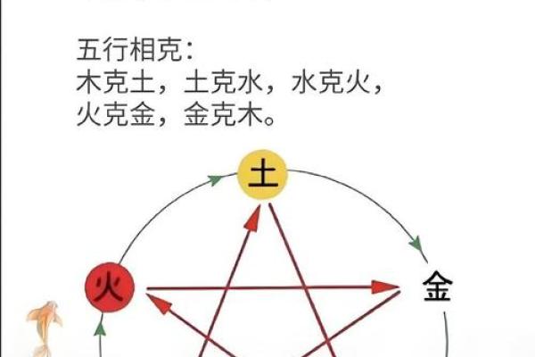 菲五行探秘:解析五行与命运的交织 菲五行探秘:解析五行与命运的交织