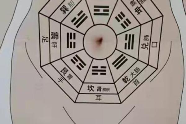 解密全息象数风水学的核心原理与技巧 解密全息象数风水学的核心原理与技巧