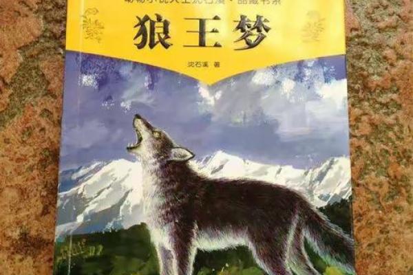 安妮:寓意美好的名字之旅 安妮:寓意美好的名字之旅