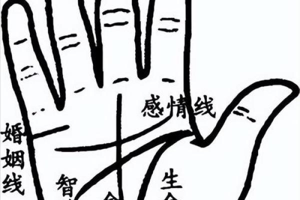 手指上的预言:食指线条解析人生运势 手指上的预言:食指线条解析人生运势