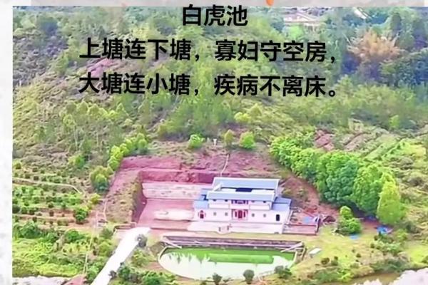 泪滴风水摆设,财运滚滚来 泪滴风水摆设,财运滚滚来