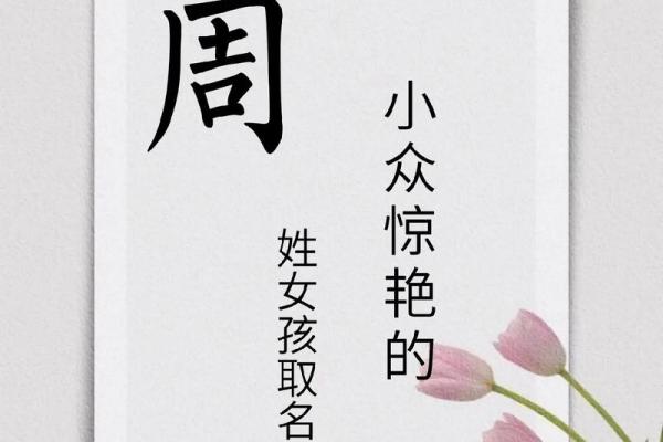 周连名字的创意设计与应用