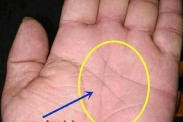 手相揭示:男人苦命手相排行榜 手相揭示:男人苦命手相排行榜