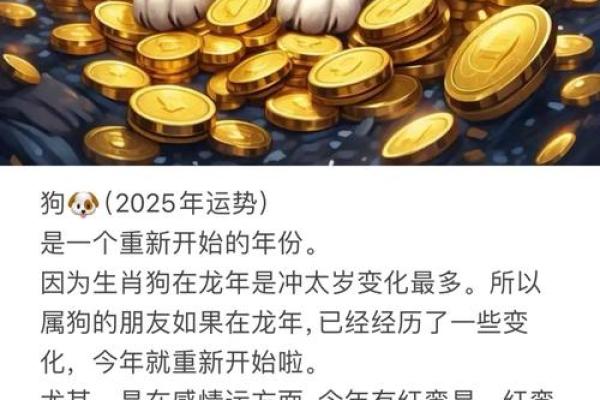 属狗明年运势解析 属狗明年运势解析
