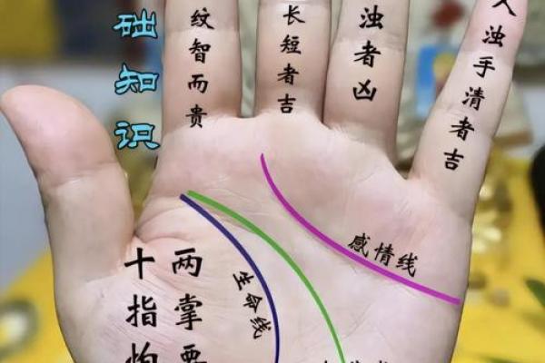 揭秘财富密码：金钱线手相图解