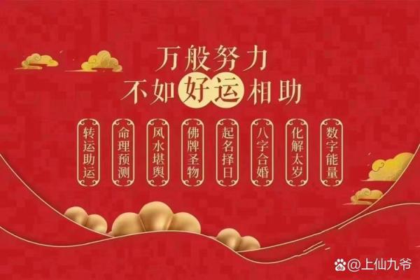 掌握明日运势,决策更精准 掌握明日运势,决策更精准