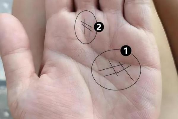 手相大揭秘：改变运势的神奇手法！