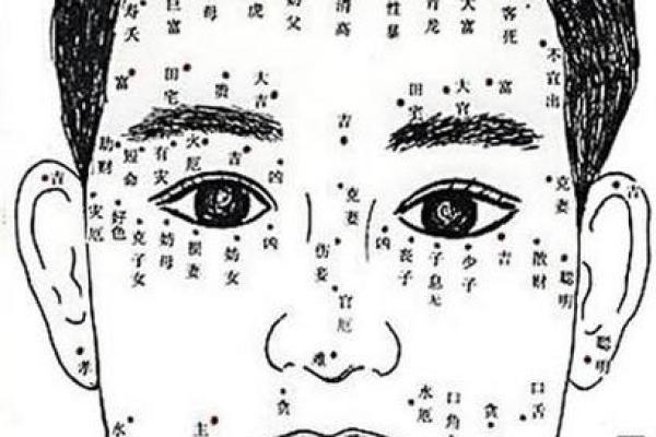 面部痣相决定命运?男性脸上痣相解析,运势一览无余! 面部痣相决定命运?男性脸上痣相解析,运势一览无余!
