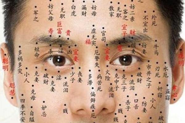 面部痣相决定命运?男性脸上痣相解析,运势一览无余! 面部痣相决定命运?男性脸上痣相解析,运势一览无余!